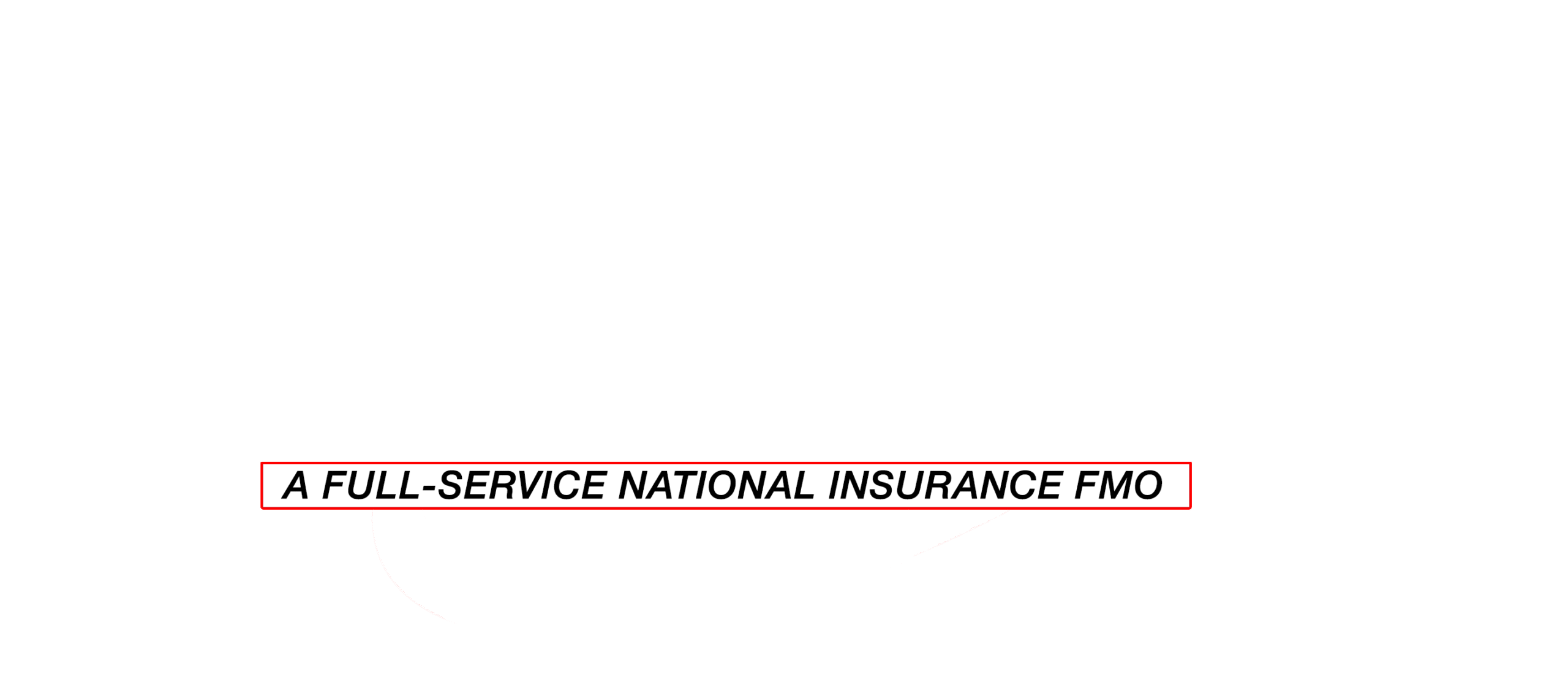 Advantage Plus Logo