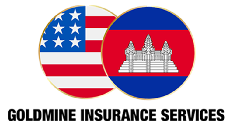 Goldmine Insurance Service